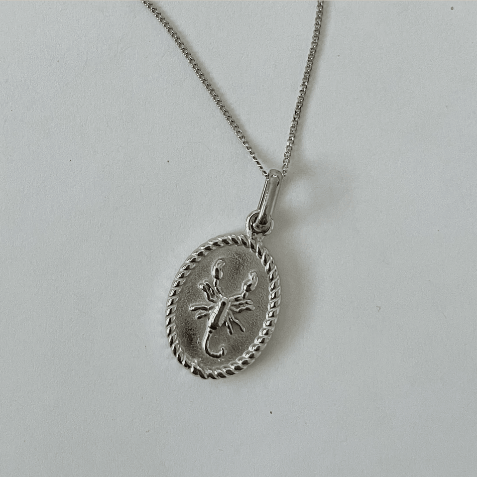 Zodiac Horoscope Charm Necklace - Silver
